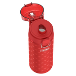 24oz Icon™ Water Bottle with Spout - Red Stars