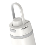 24oz Alta Water Bottle